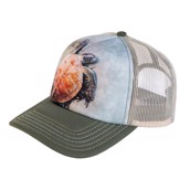 kasket med havskildpadde