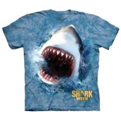 Shark Feed t-shirt