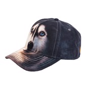 kasket med sibirisk husky