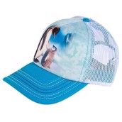 kasket med pingviner