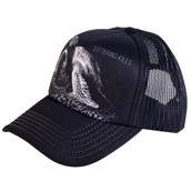 kasket med skildpadde