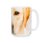 tekrus med lækker gul labrador