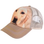 kasket med gul labrador