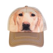 Trucker kasket med gul labrador 