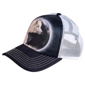 kasker med ulve og yin yang symbol