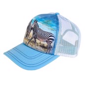 kasket med zebra flok